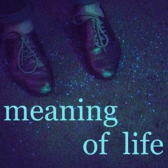 Meaning of Life