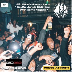 In The Blood Present Soulful Jungle D&B Hour Voices Radio (March)