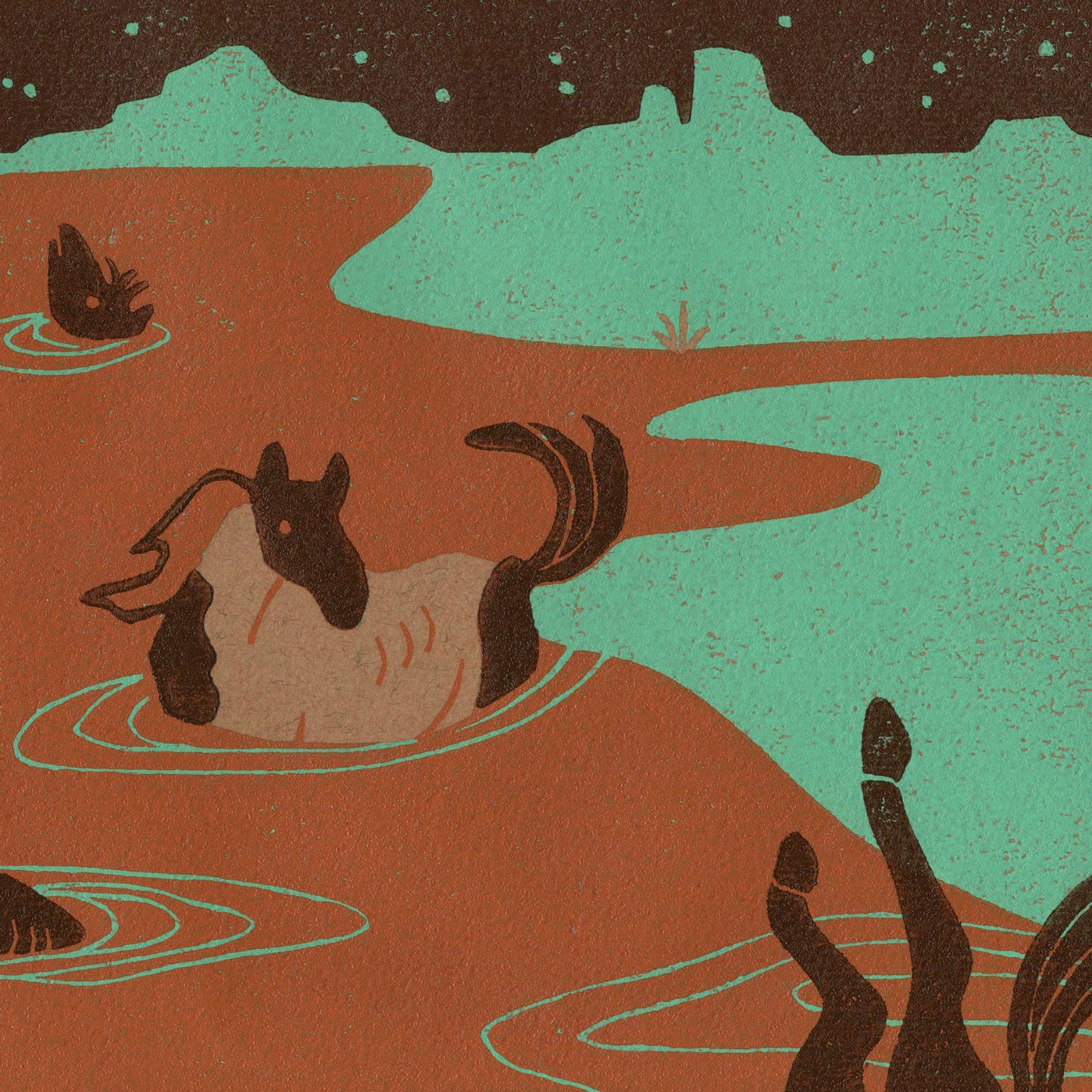 Australia’s wild horse conundrum parallels the West’s