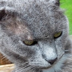 Le fameux premier beat d'allan (2017)