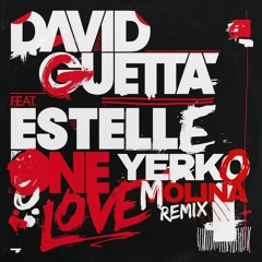 DG ft Estelle - One Love (Yerko Molina Intro Mix)#FREE