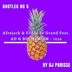 Afrojack & Fedde Le Grand Feat. AD & BD, HaMidM - 1234 (Bootleg By Dj Parisse)