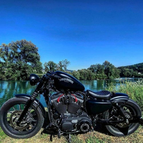 Stream episode Harley-Davidson Iron 883 Engine and stock Exhaust sound by  Bikeshala podcast | Listen online for free on SoundCloud