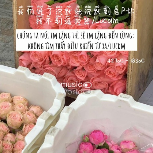Chúng Ta Nói Im Lặng Thì Sẽ Im Lặng Đến Cùng - Lucdm