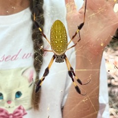 Lil Peep Ghost Boy (prod. Rozz Dyliams)