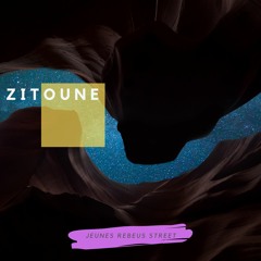 Zitoune (IDEM, Fenn)