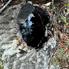 Fetish Radio Show (5 April 2022)