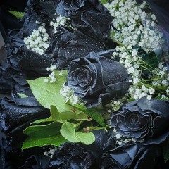 black roses (prod. boyfifty)