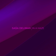 Saša Delimar - In a haze - 02 We were lost
