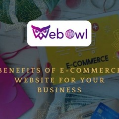 Benefits of E-commerce Website for Your Business