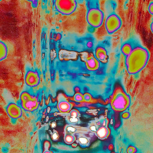 MAGICAL GATHERINGS (Audric Jankauskas/Christy Bluhm-2025)