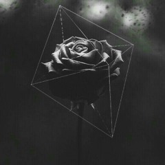 Composición para oferenda n.33 -> 花 黒 <- INGRID [Assá]