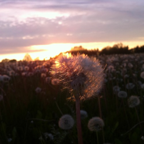 Ｌａｓｔ Ｇｏｏｄｂｙｅ