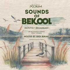 Sounds of Bekool vol. 2 hosted by Erdi Irmak