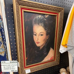 Gorgeous Lady in a Portrait