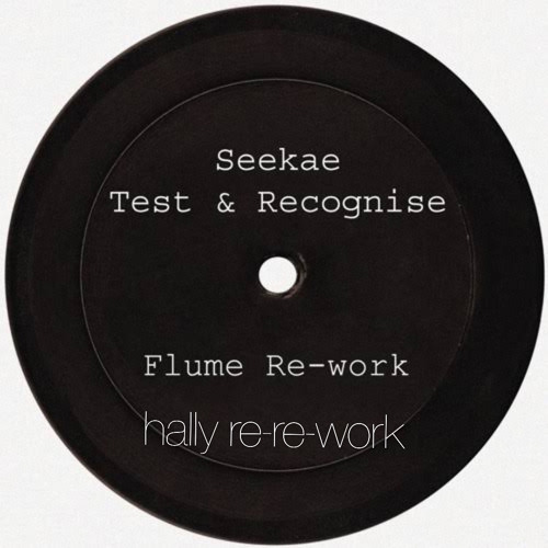Flume - Test and Recognise [HALLY RE-RE-WORK] Free DL