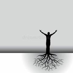 Analog Roots
