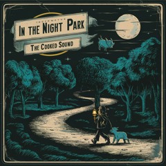 In The Night Park