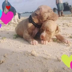 My heart cries out.mp3