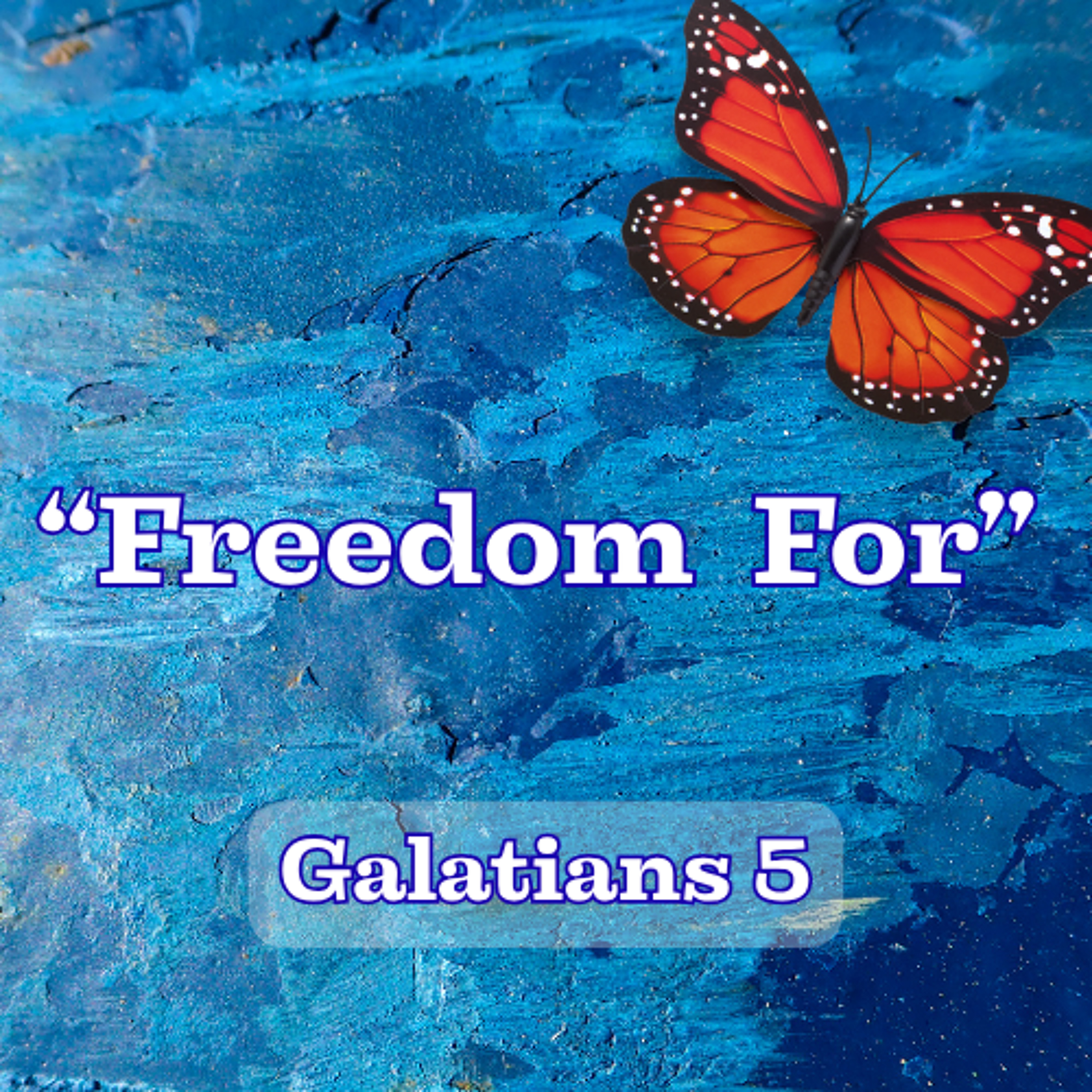 Freedom For-0705-26 episode artwork