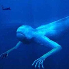 ( Lost project ) Ciplatek - Lost in Abyss