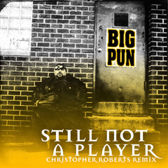 Big Pun, Joe - Still Not A Player (Christopher Roberts Bootleg) [FREE DL]