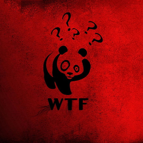 WTF IS THIS?