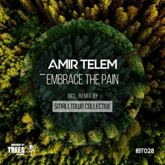 Amir Telem - Embrace The Pain (IBT028)