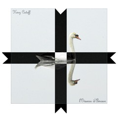 l'Oiseau d'Amour