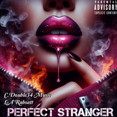 Perfect Stranger (L.A. Rabsatt & C. Double34 Music, vocals)