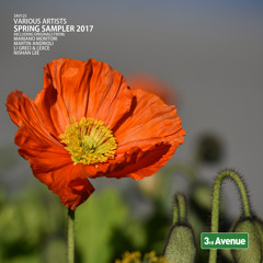 Radiance (Original Mix)