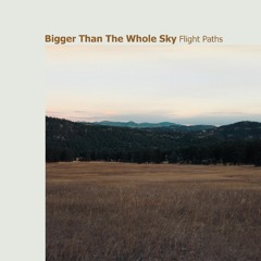 Taylor Swift - Bigger Than The Whole Sky (Dario Xavier Remix) *OUT NOW*