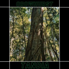 Tandia (original mix)