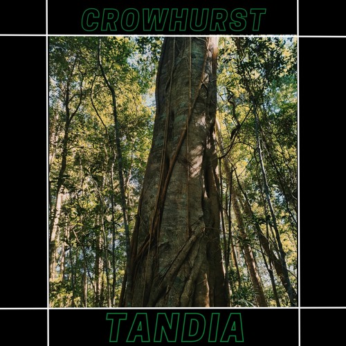 Tandia (original mix)