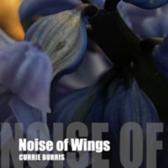 Noise of Wings--Emergent Hammer Dulcimer