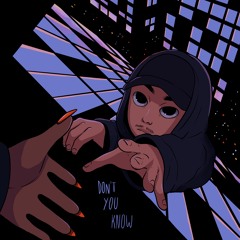 Don`t You Know (prod. by Sameen Rauf)