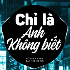 Chỉ Là Anh Không Biết (Đại Mèo Remix)