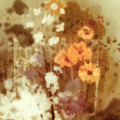 Ants