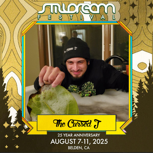The Cursed J Still Dream Live Mix