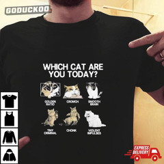 Which Cat Are You Today Golden Crunch Smooth Brain Tiny Criminal Chonk Violent Impulses Shirt