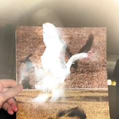 premiere: miaw - Want Something (jjjacob Remix)