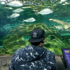 Satu Mare Mental Institute