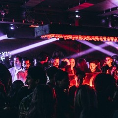 Mix Bass fly Preview