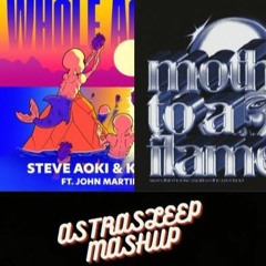 WHOLE AGAIN x MOTH TO A FLAME - STEVE AOKI X KAAZE FT> THE WEEKND & JOHN MARTIN | ASTRALEAVE MASHUP