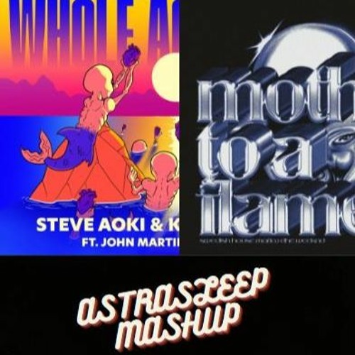 WHOLE AGAIN x MOTH TO A FLAME - STEVE AOKI X KAAZE FT> THE WEEKND & JOHN MARTIN | ASTRALEAVE MASHUP