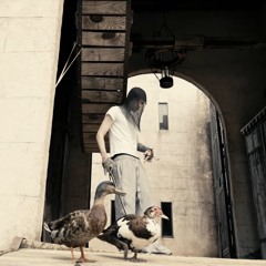 Dark Hardy - only thing