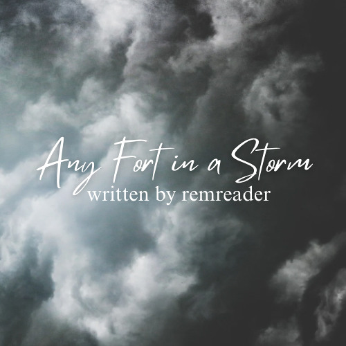 Any Fort in a Storm by remreader