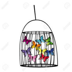 Caged bird and butterfly