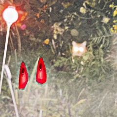 in my restless dreams i seen that town