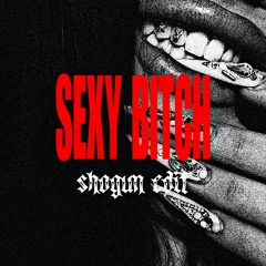 DAVID GUETTA - SEXY BITCH FT AKON (SHOGUN EDIT)